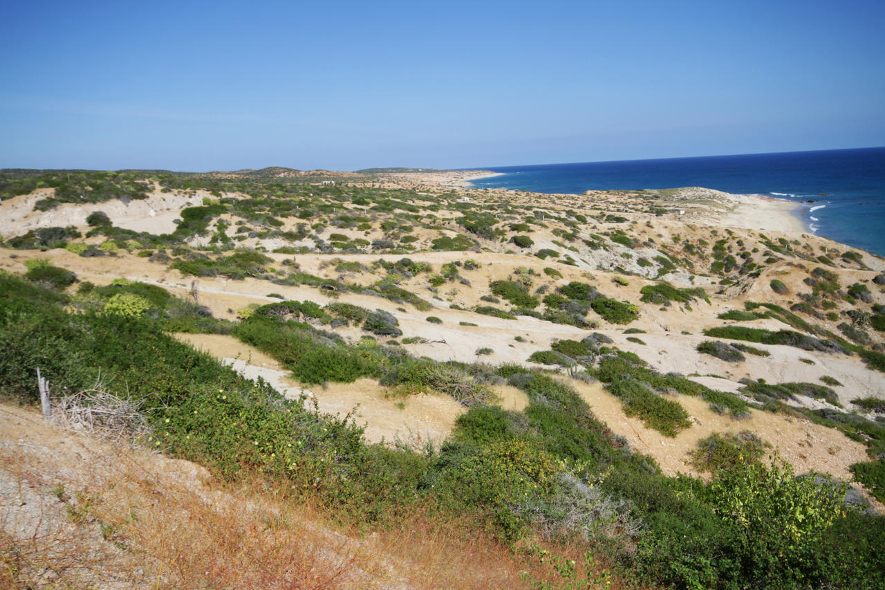 Vidasoul Boca de la Vinorama Ngoại thất bức ảnh